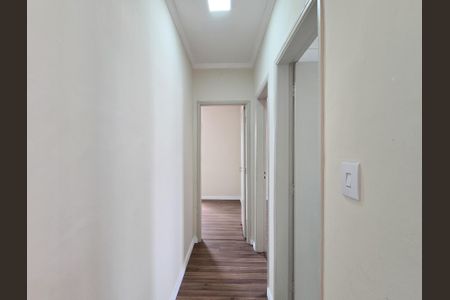 Corredor de apartamento à venda com 2 quartos, 54m² em Jardim Copacabana, São Bernardo do Campo