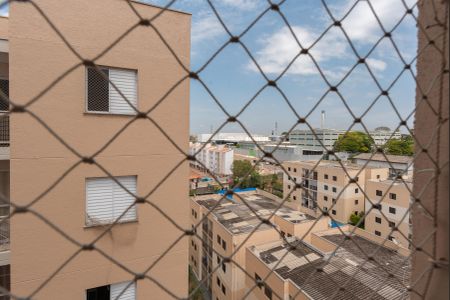 Vista do Quarto de apartamento à venda com 2 quartos, 50m² em Jardim do Lago Continuacao, Campinas