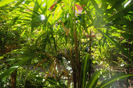 Vista da Sala de casa de condomínio à venda com 3 quartos, 133m² em Tristeza, Porto Alegre