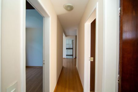 Corredor de apartamento para alugar com 3 quartos, 80m² em Coração Eucarístico, Belo Horizonte