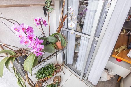 Varanda da Sala de apartamento à venda com 3 quartos, 76m² em Rio Branco, Belo Horizonte