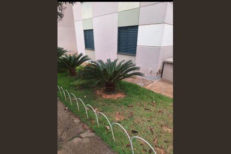 Foto 06 de apartamento à venda com 2 quartos, 47m² em Parque São Jorge, Campinas