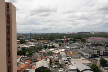Vista do Quarto 1 de apartamento para alugar com 2 quartos, 82m² em Vila das Palmeiras, Guarulhos