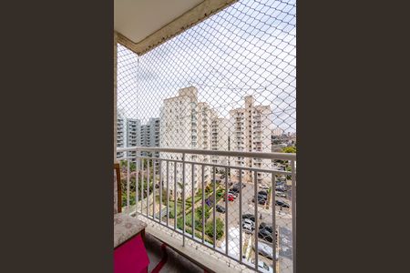 Apartamento à venda com 2 quartos, 50m² em Jardim Maria Duarte, São Paulo