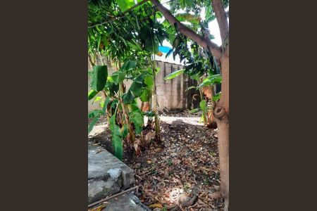 Casa à venda com 4 quartos, 230m² em Jardim Primavera, Campinas