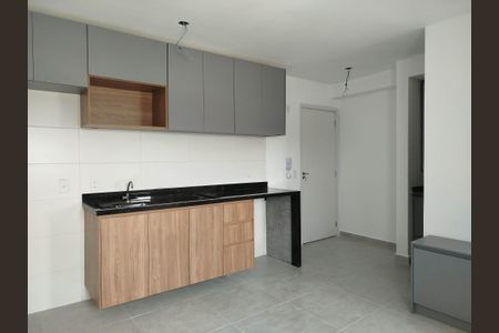 Studio cozinha/sala de kitnet/studio para alugar com 1 quarto, 29m² em Vila Carrão, São Paulo