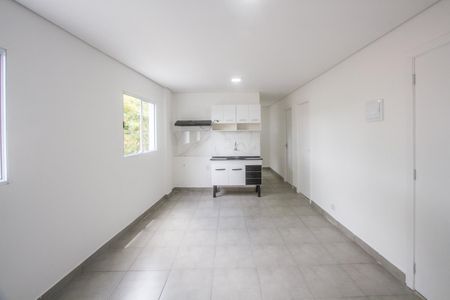 Sala/Cozinha de apartamento para alugar com 2 quartos, 38m² em Jardim Petrópolis, São Paulo