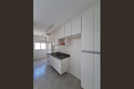 Cozinha de apartamento para alugar com 2 quartos, 60m² em Vila Pita, São Paulo
