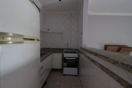 Kitnet/Studio para alugar com 1 quarto, 30m² em Nova Aliança, Ribeirão Preto