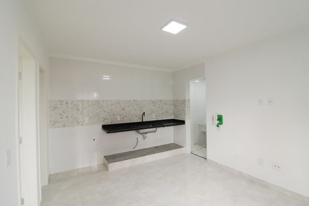 Sala/Cozinha/Área de Serviço de apartamento para alugar com 1 quarto, 30m² em Santana, São Paulo