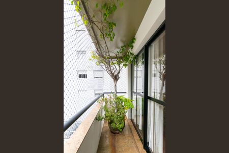 Varanda de apartamento para alugar com 4 quartos, 145m² em Vila Mascote, São Paulo