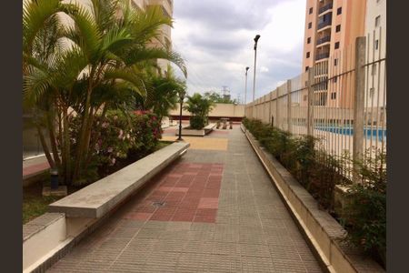 Foto 09 de apartamento à venda com 3 quartos, 105m² em Vila Pirituba, São Paulo