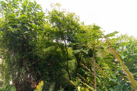Vista da Sala de casa de condomínio à venda com 4 quartos, 170m² em Largo da Batalha, Niterói