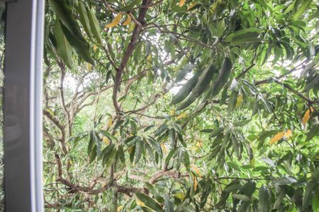 Vista da Sala de apartamento para alugar com 2 quartos, 50m² em Cerâmica, Nova Iguaçu