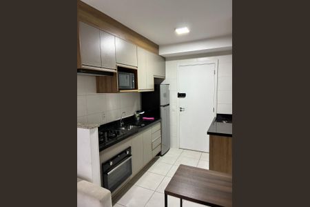 Foto 10 de apartamento para alugar com 1 quarto, 28m² em Vila das Belezas, São Paulo