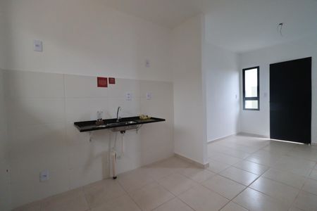 Cozinha de casa de condomínio para alugar com 2 quartos, 70m² em Parque Residencial Candido Portinari, Ribeirão Preto