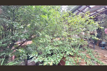 Vista de casa à venda com 2 quartos, 365m² em Vila Ipojuca, São Paulo