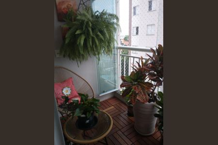 Foto 09 de apartamento à venda com 3 quartos, 65m² em Vila Paiva, São Paulo