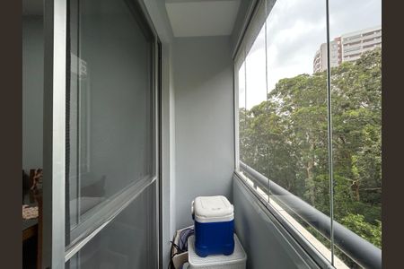 Varanda da Sala de apartamento para alugar com 3 quartos, 75m² em Vila Amélia, São Paulo