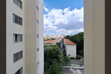 Vista Sala de apartamento à venda com 2 quartos, 50m² em Vila Nova Cachoeirinha, São Paulo