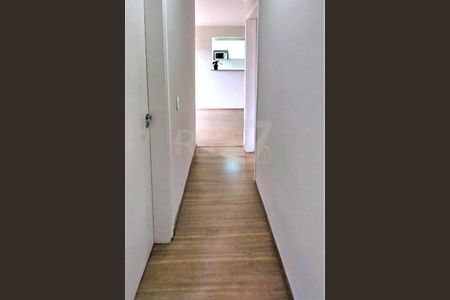 Foto 09 de apartamento à venda com 3 quartos, 56m² em Jardim Paulistano, Campinas