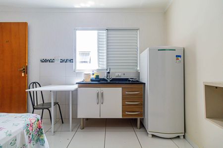 Studio de kitnet/studio para alugar com 1 quarto, 30m² em Vila Sao Luis, São Paulo