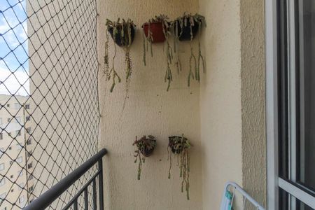 Apartamento para alugar com 2 quartos, 47m² em Vila Mendes, São Paulo