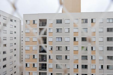 Vista do Quarto 1 de apartamento para alugar com 2 quartos, 46m² em Jardim Boa Vista (zona Oeste), Osasco