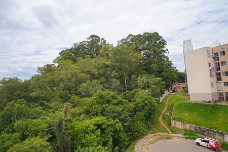 Quarto 1_Vista de apartamento para alugar com 2 quartos, 48m² em Mário Quintana, Porto Alegre