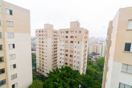 Vista da Sala de apartamento à venda com 2 quartos, 63m² em Vila Campestre, São Paulo