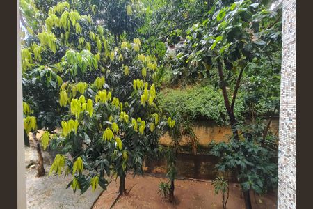 Vista da Sala de apartamento à venda com 2 quartos, 53m² em Catumbi, Rio de Janeiro