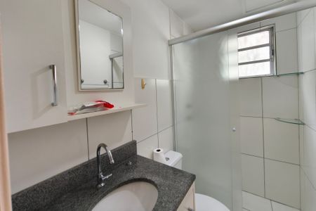 Banheiro de apartamento para alugar com 2 quartos, 55m² em Loteamento Parque São Martinho, Campinas