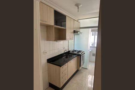 Cozinha de apartamento para alugar com 2 quartos, 45m² em Vila Homero Thon, Santo André