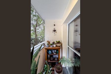 Varanda da Sala de apartamento para alugar com 3 quartos, 92m² em Cursino, São Paulo