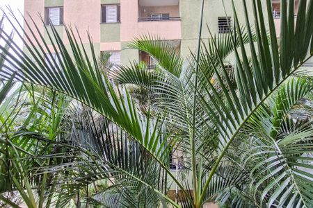 Varanda da Sala - VISTA de apartamento para alugar com 2 quartos, 57m² em Santa Terezinha, São Bernardo do Campo