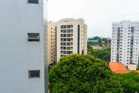 Vista da Sala de apartamento para alugar com 2 quartos, 39m² em Jardim Oriental, São Paulo