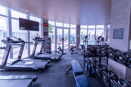 Área comum - Academia de apartamento para alugar com 2 quartos, 90m² em Empresarial 18 do Forte, Barueri