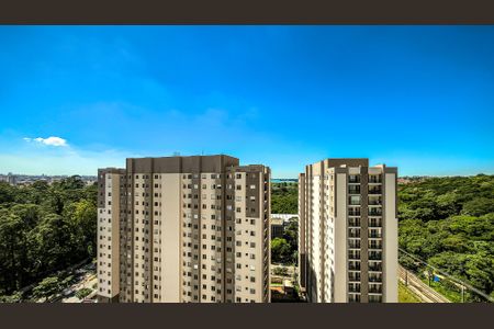 Vista da Sala de apartamento para alugar com 2 quartos, 34m² em Usina Piratininga, São Paulo