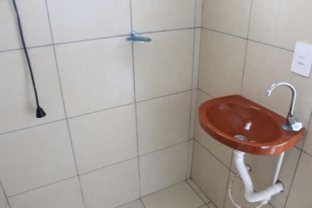 Banheiro de kitnet/studio para alugar com 1 quarto, 30m² em Parque Mirante da Mata, Cotia