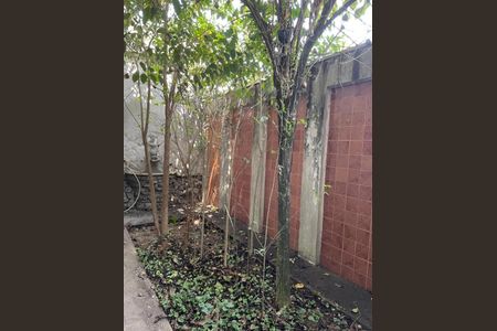 Casa para alugar com 3 quartos, 167m² em Vila Clementino, São Paulo