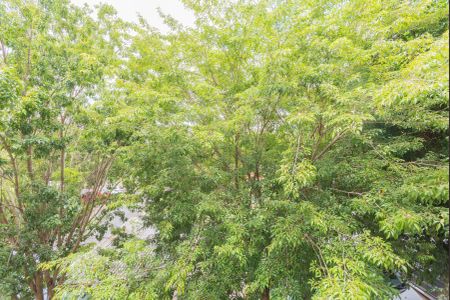 Vista do Quarto 1 de apartamento à venda com 2 quartos, 48m² em Parque São Jorge, Campinas