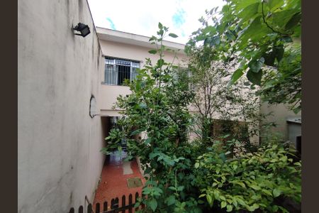 Quintal de casa à venda com 3 quartos, 246m² em Vila Natalia, São Paulo
