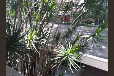 Casa para alugar com 5 quartos, 480m² em Campo Belo, São Paulo