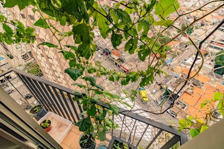 Apartamento à venda com 2 quartos, 63m² em Vila Mascote, São Paulo