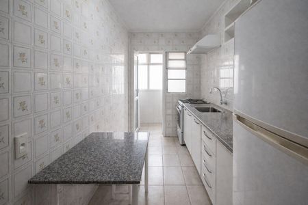 Cozinha de apartamento para alugar com 1 quarto, 45m² em Mont’Serrat, Porto Alegre
