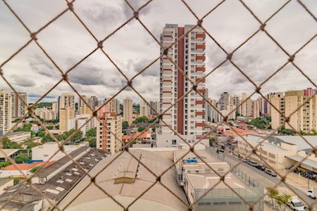 Apartamento para alugar com 2 quartos, 62m² em Vila Santa Catarina, São Paulo