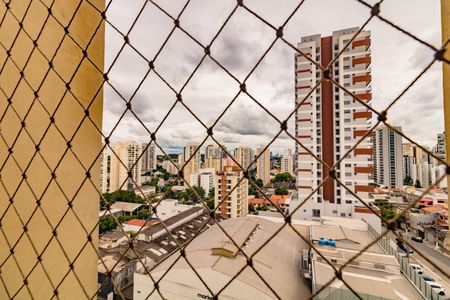 Apartamento para alugar com 2 quartos, 62m² em Vila Santa Catarina, São Paulo