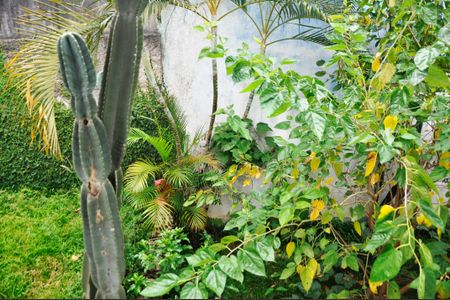 Detalhe - Vista da Sala de casa à venda com 3 quartos, 468m² em Vila Pirituba, São Paulo