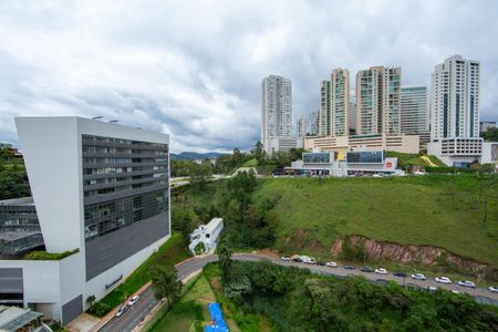 VISTA de apartamento para alugar com 4 quartos, 207m² em Vila das Flores, Nova Lima