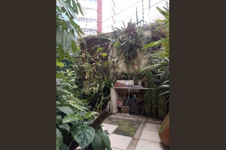 Quintal de casa para alugar com 2 quartos, 130m² em Paraíso, São Paulo